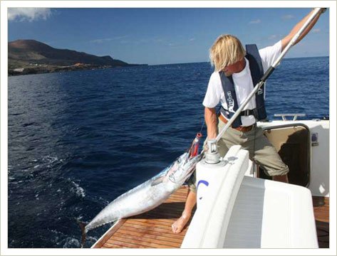 Рыбылка на море в Крыму, Балаклава Рыбылка на море в Крыму, Балаклава