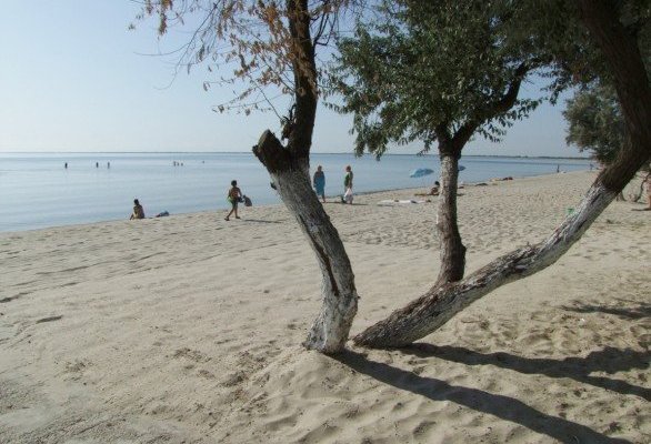 Приморское, отдых с детьми на море