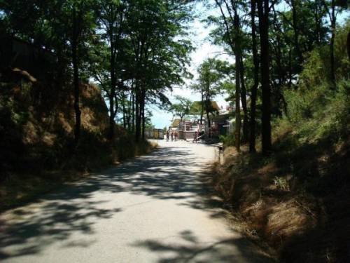 Курортное, база отдыха Дельфин