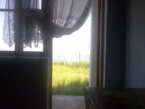 База отдыха Дельфин, поселок Курортное