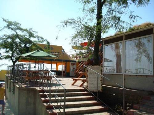 с Курортное, отдых на море, Дельфин