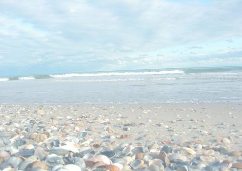 побережье Черного моря, с Курортное