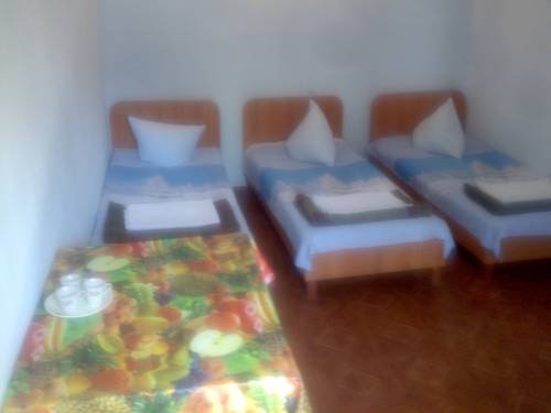 Курортное, отдых на море, Дельфин