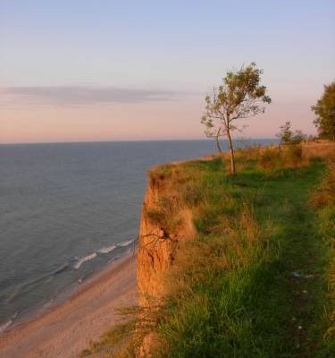 с Курортное, вид