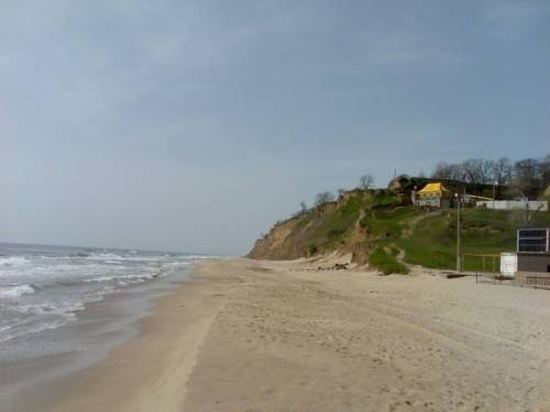 Отдых на Черном море, Дельфин