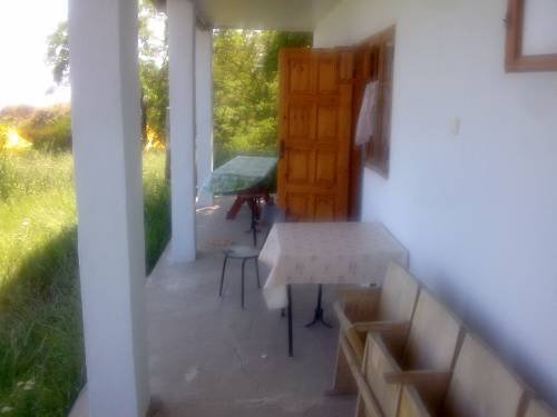 Летиний отдых, база отдыха Дельфин, отдых на море, Курортное