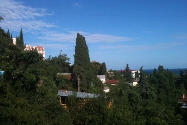 Гурзуф Кипарис Крым