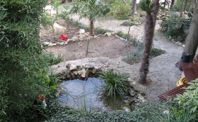 Гурзуф пансионат Морской бриз Крым