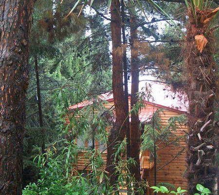 Гурзуф территория пансионата Морской бриз