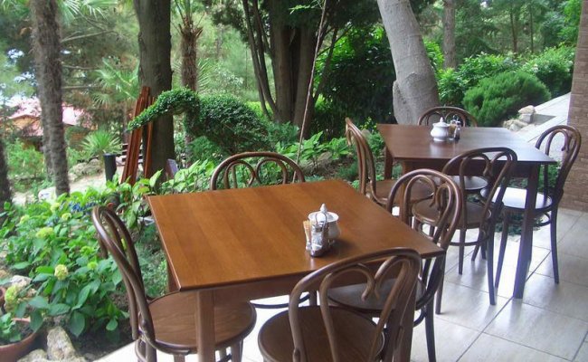 Отдых в Крыму Гурзуф