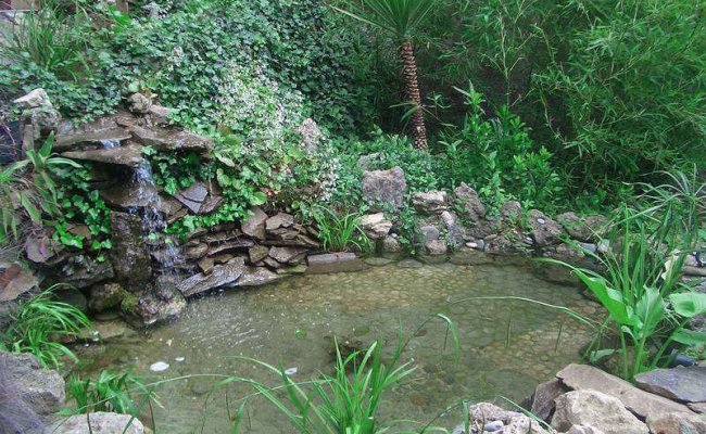 Морской бриз Крым Гурзуф