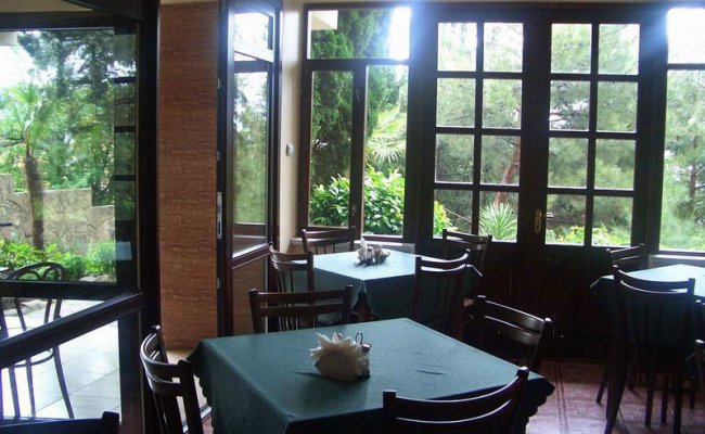 Пансионат Морской бриз Крым Гурзуф