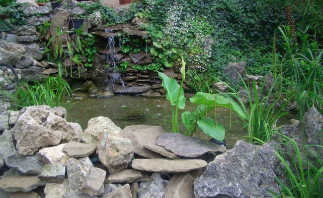 Отдых на море Гурзуф Морской бриз