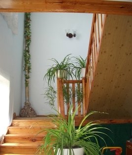 Частный сектор в Железном порту