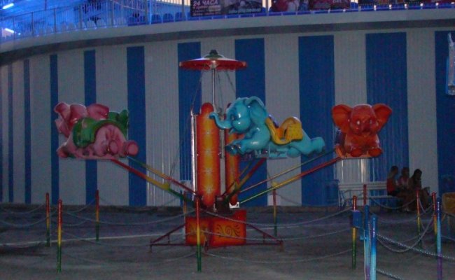 Дельфинарий "Немо", Бердянск