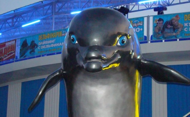 Дельфин, дельфинирий "Немо"