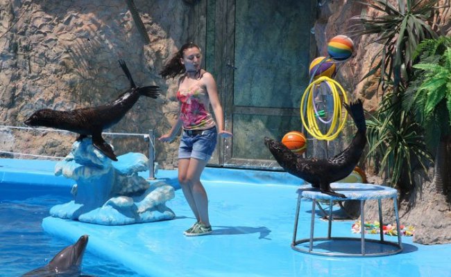 Развлечения в Одессе