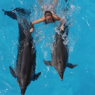 Купание с дельфинами