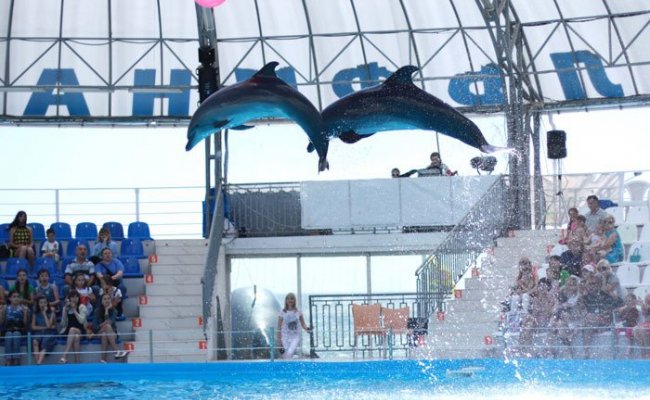 Дельфинарий "Немо"