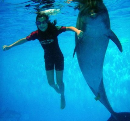 дети с дельфинами