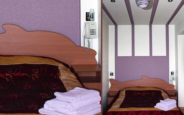 Отдых в дельфинарии