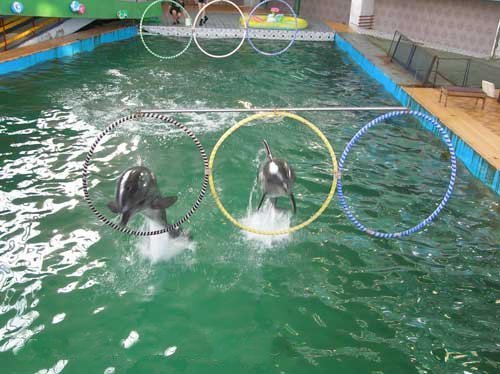 Развлечения в Евпатории