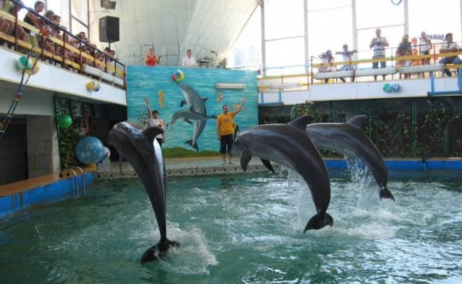 Евпаторийский дельфинарий