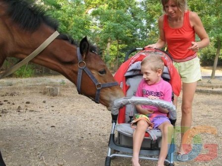 Санаторий для детей, иппотерапия