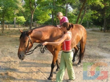 Иппотерапия на море, санаторий "Чайка"