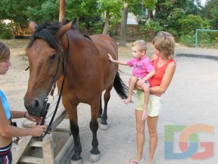 Иппотерапия для детей в Евпатории