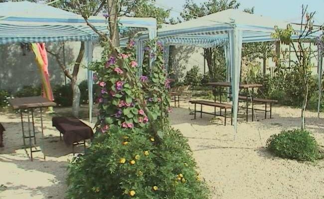 База отдыха "Елена", летний отдых