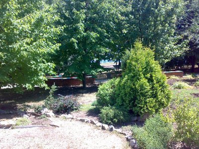 Отдых с бетьми на море