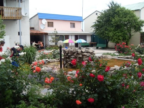 "Amore", Федотова коса