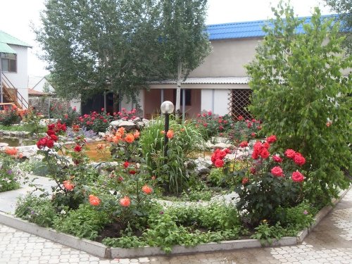 Отдых в Кирилловке