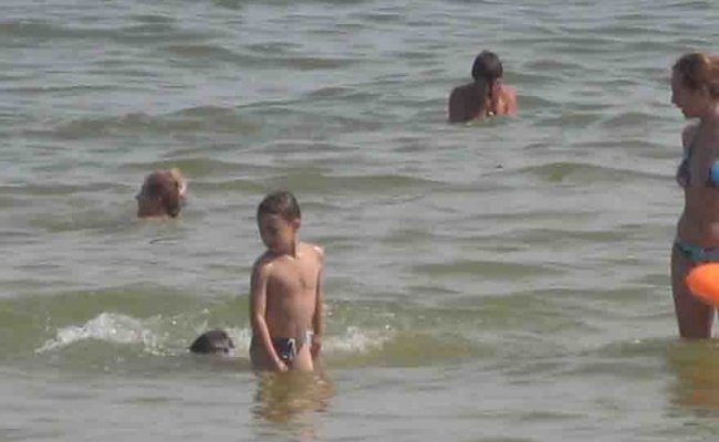 Купание в Азовском море