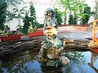 Территория пансионата "Источник Здоровья"