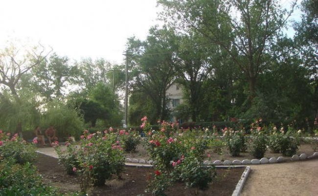 Территория базы отдыха "Мрия"