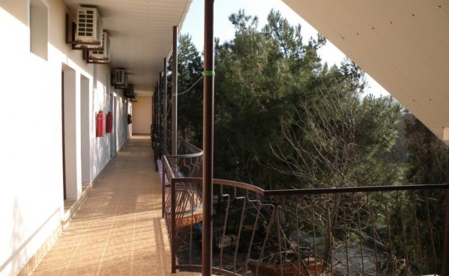 Терраса базы отыдыха "Фламинго"