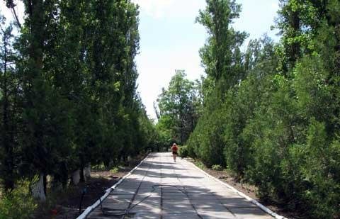 Территория базы отдыха, Железный Порт