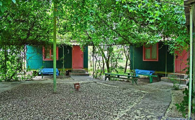 Отдых на Базе отдыха "Переяслав", Федотова коса