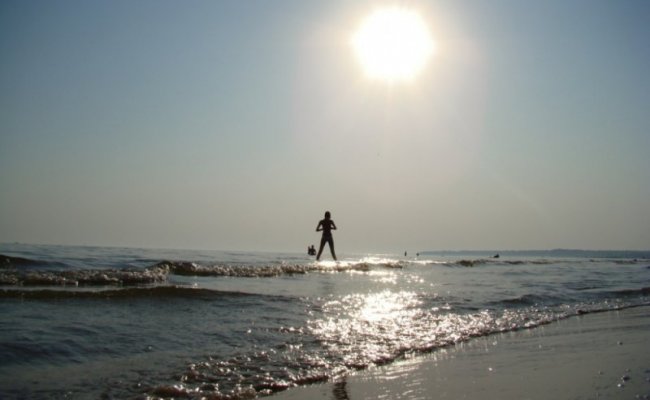 Черное море, Отдых в Коблево