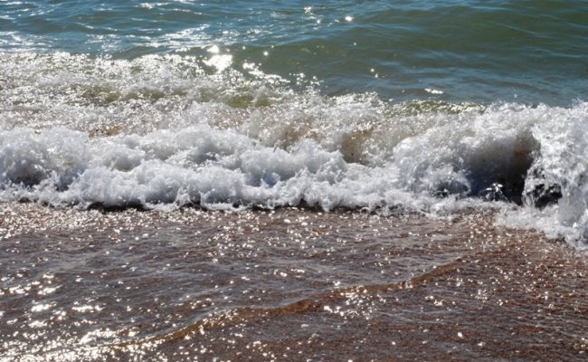 Азовское море, Берег