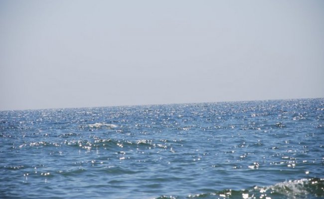 Теплое Азовское море, Бердянск