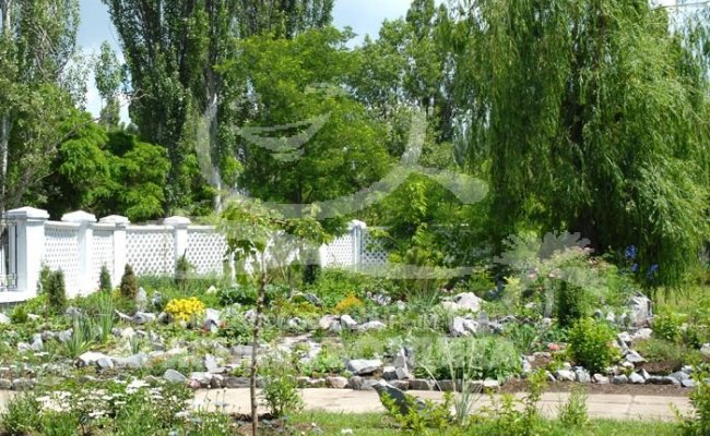 Бердянск, ДОЦ "Красная гвоздика"