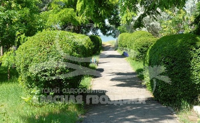 Отдых для детей, ДОЦ "Красная гвоздика"