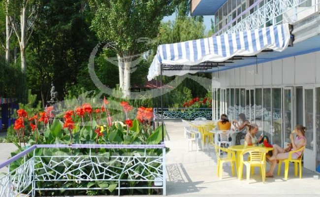 Детский лагкрь в Бердянске "Красная гвоздика"