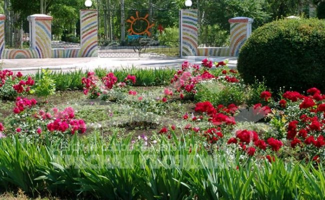 Лагерь в Бердянске, ДОЦ "Красная гвоздика"