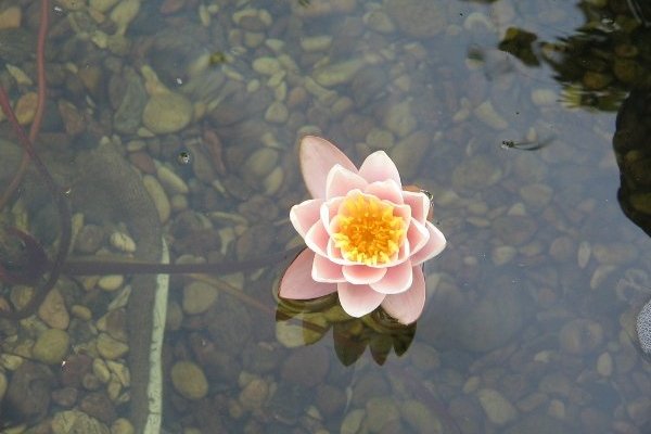 Курорт Крыма, Феодосия