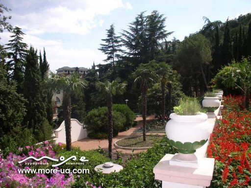 Профессорский уголок, Алушта