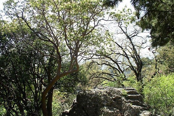 Территория пансионата